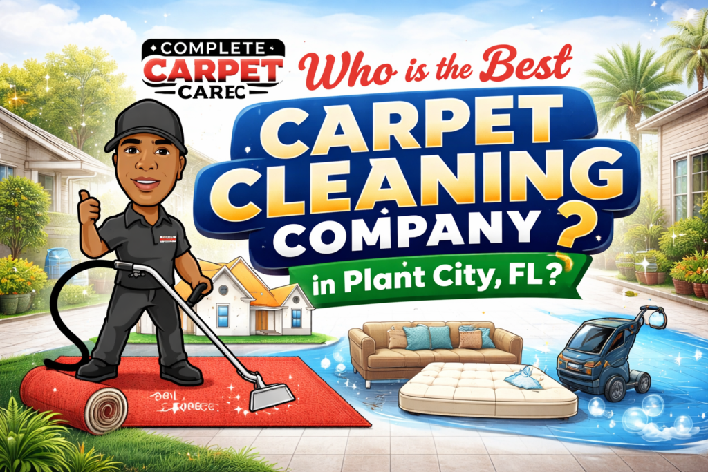 Who is the Best Carpet Cleaning Company in Plant City, FL?