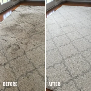 Carpet Cleaning in Lakeland