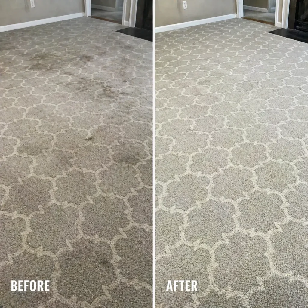 Carpet Cleaning Lakeland