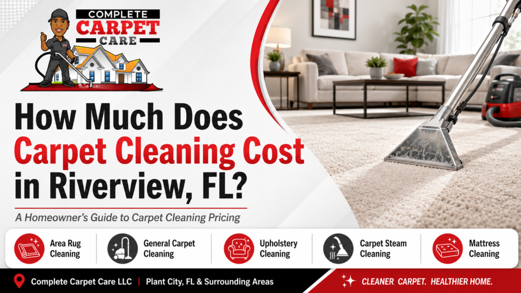 How Much Does Carpet Cleaning Cost in Riverview, FL?