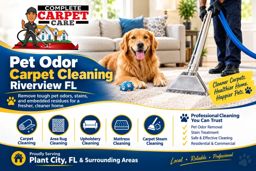 Pet Odor Carpet Cleaning in Riverview, FL