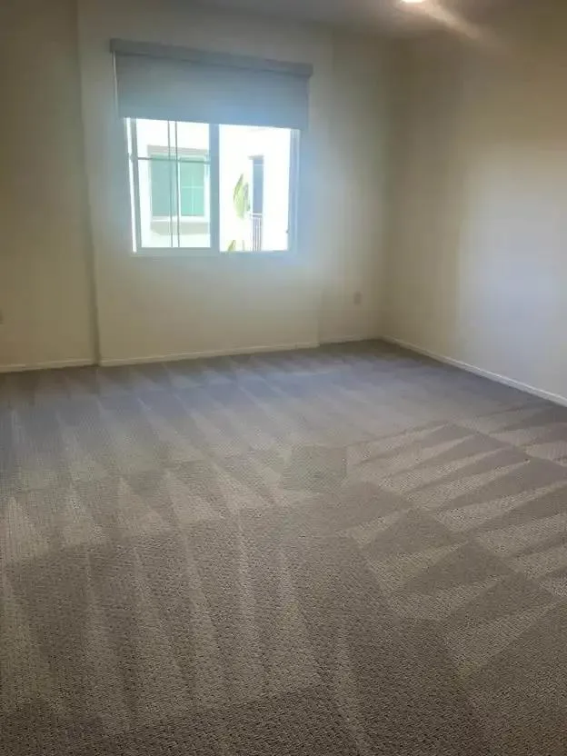 Deep cleaned bedroom carpet