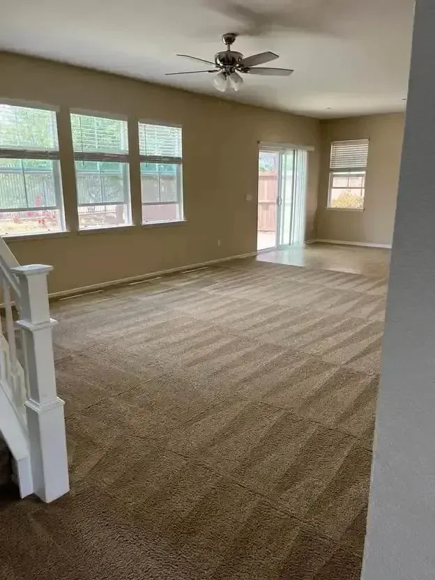 Empty living room carpet showing an even cleaning pattern after truck-mounted hot water extraction, Complete Carpet Care carpet cleaning in Lakeland, FL