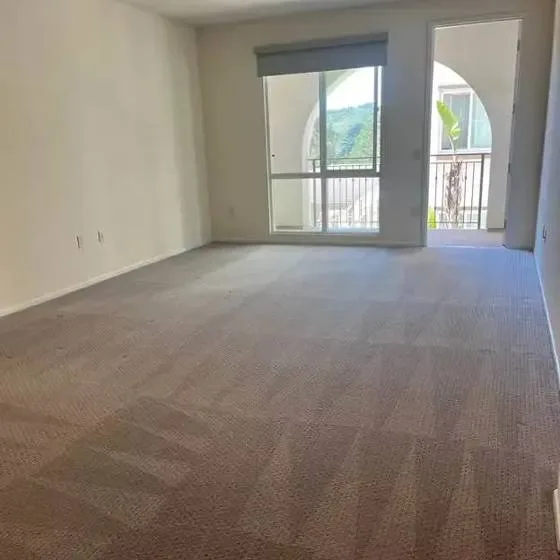 Freshly cleaned carpet in a Plant City home living room