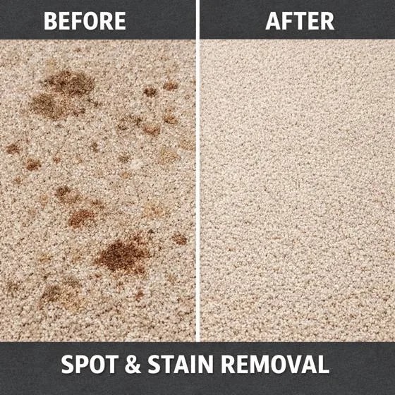 Carpet stains before and after spot and stain removal