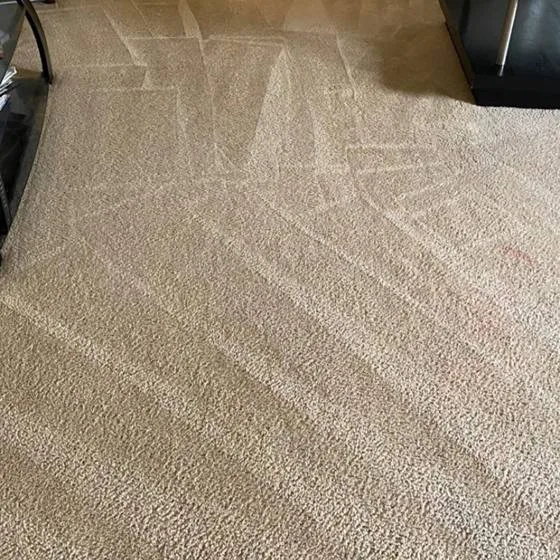 Carpet cleaned with truck-mounted steam hot water extraction lines