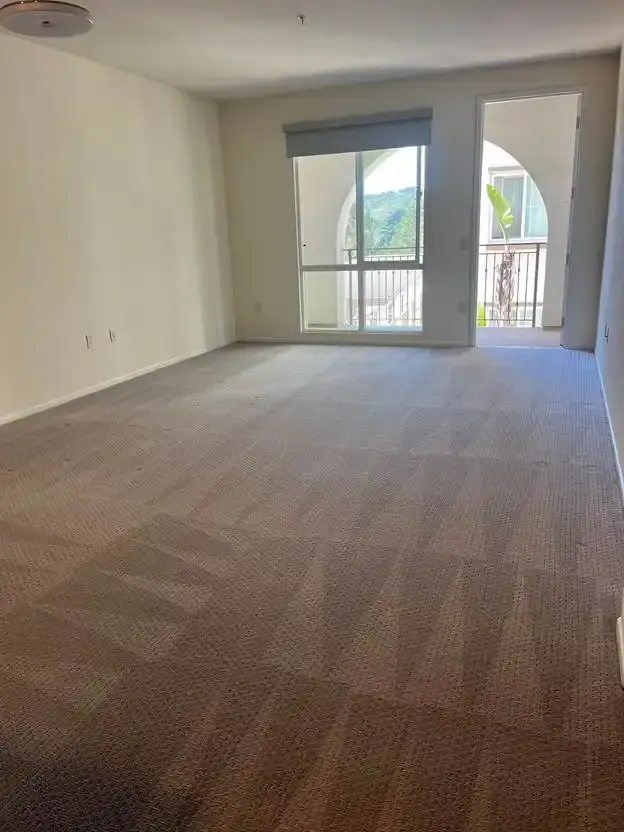 Steam Carpet Cleaning Plant City