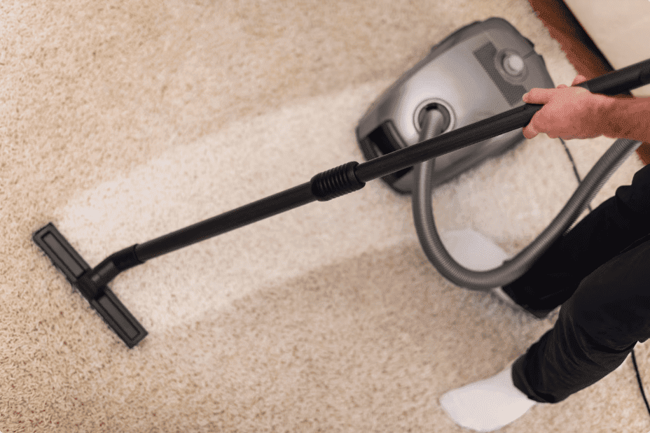 steam carpet cleaning Riverview FL